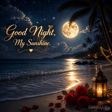 Good Night, My Sunshine