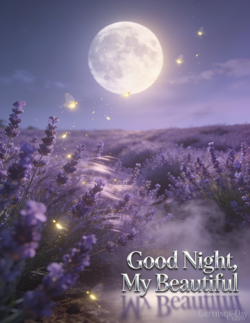 Good Night, My Beautiful