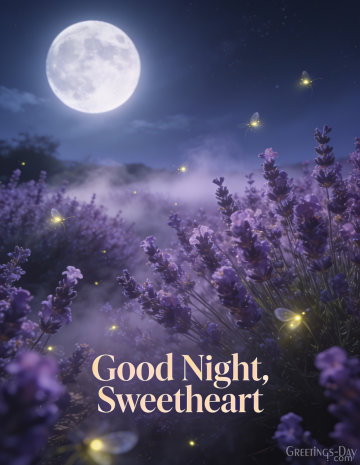 Good Night, My Sunshine
