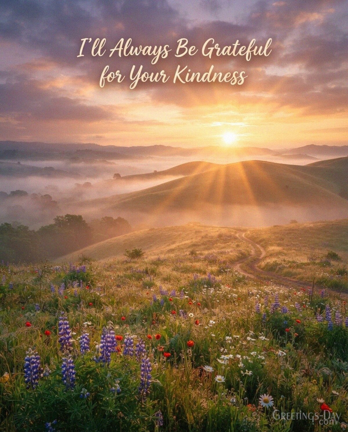 I’ll Always Be Grateful for Your Kindness