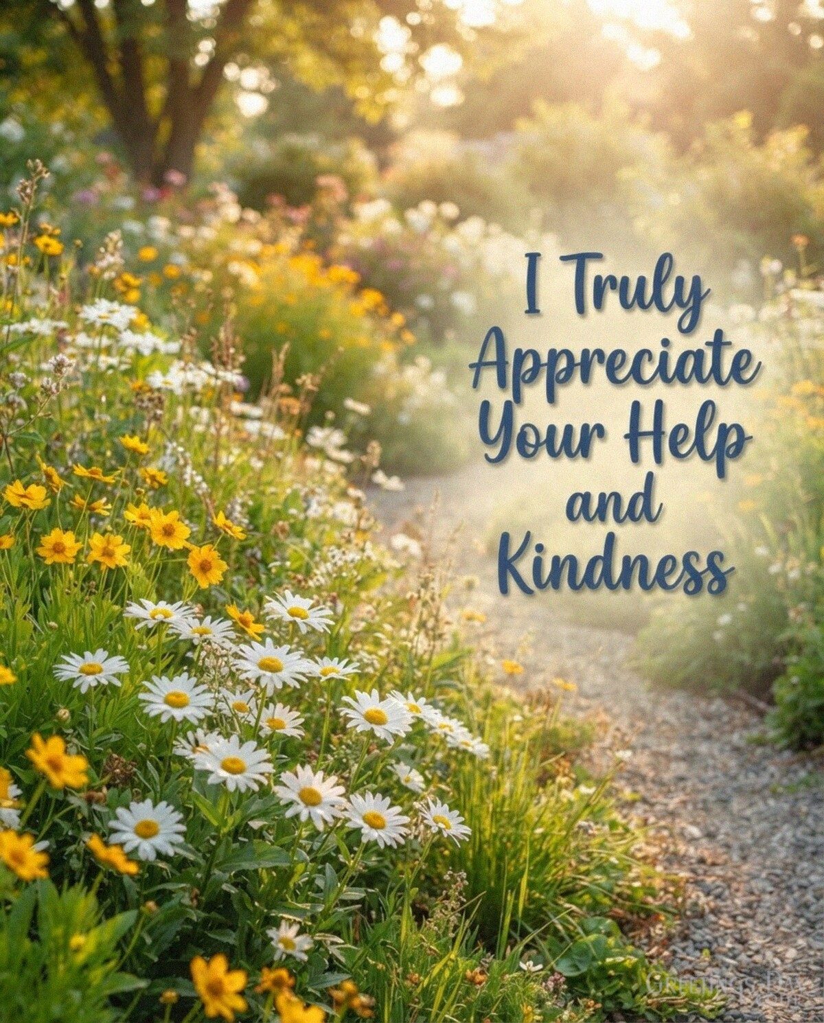 I Truly Appreciate Your Help and Kindness