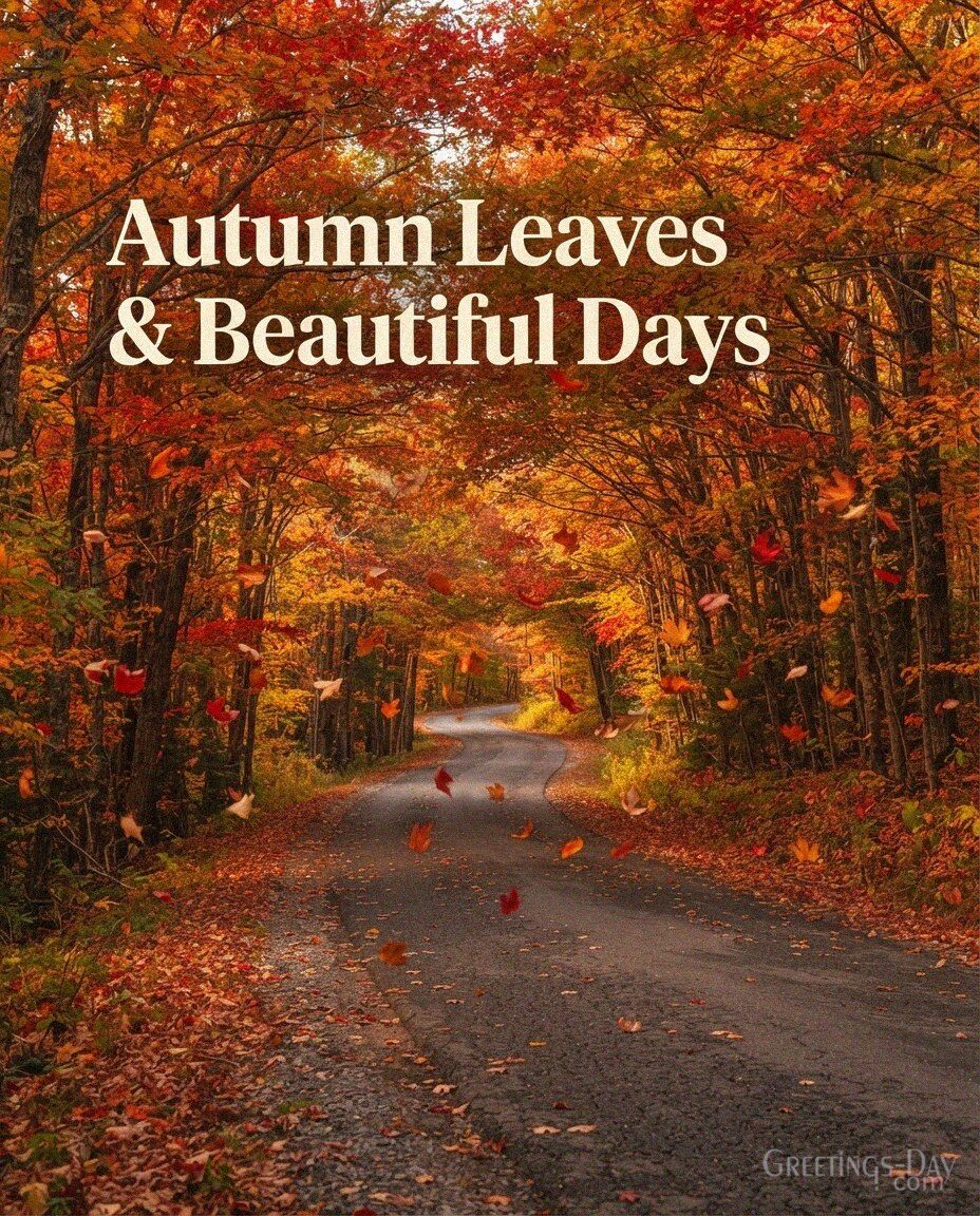 Autumn Leaves & Beautiful Days