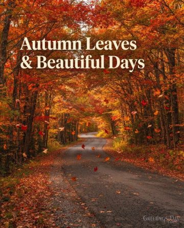 Autumn Leaves & Beautiful Days