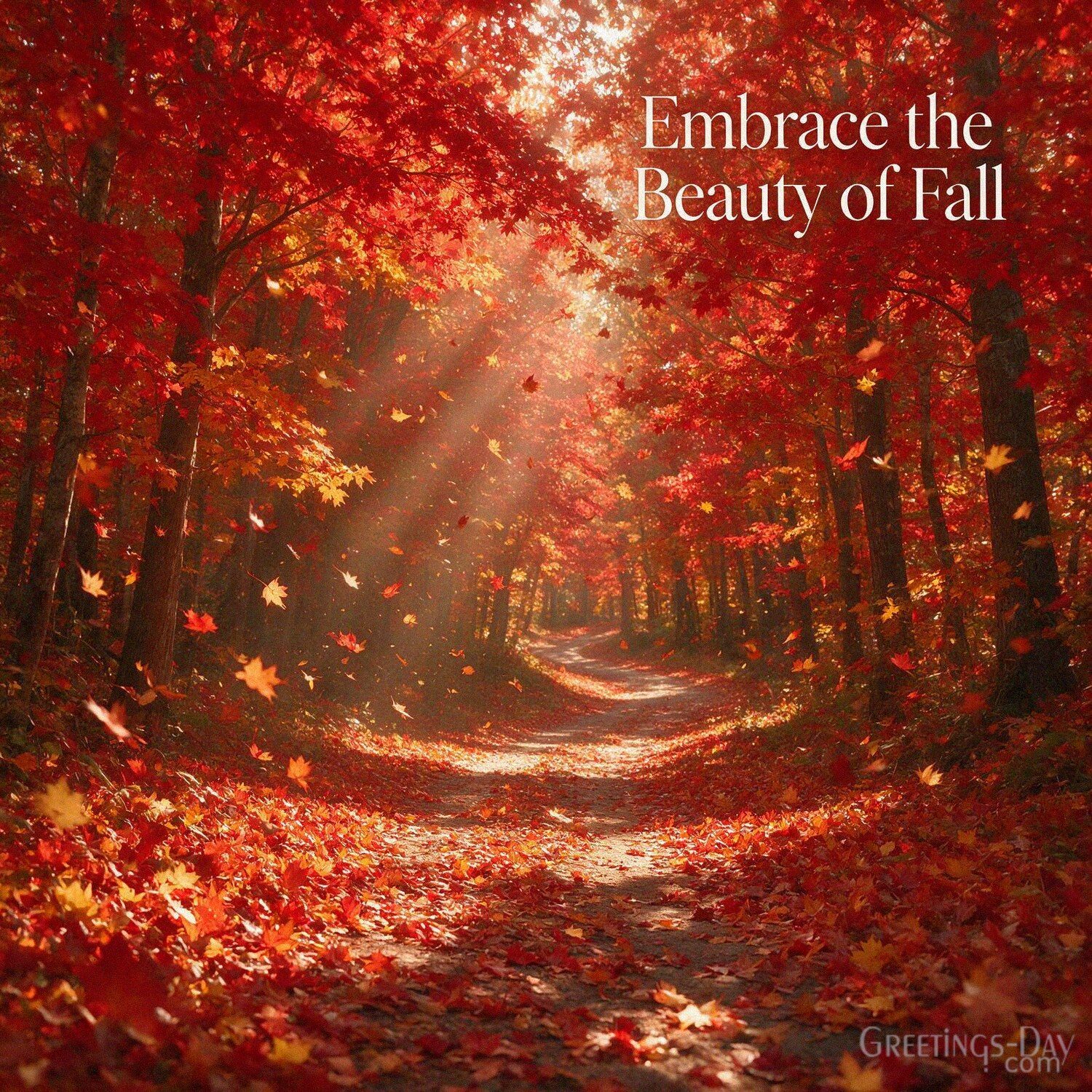 Embrace the Beauty of Fall