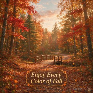 Enjoy Every Color of Fall