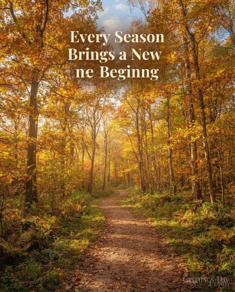 Inspirational autumn image with a golden forest path and the quote “Every Season Brings a New Beginning.” with the text