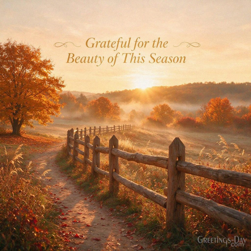 Inspirational fall image with golden trees and peaceful countryside featuring “Grateful for the Beauty of This Season.” with the text
