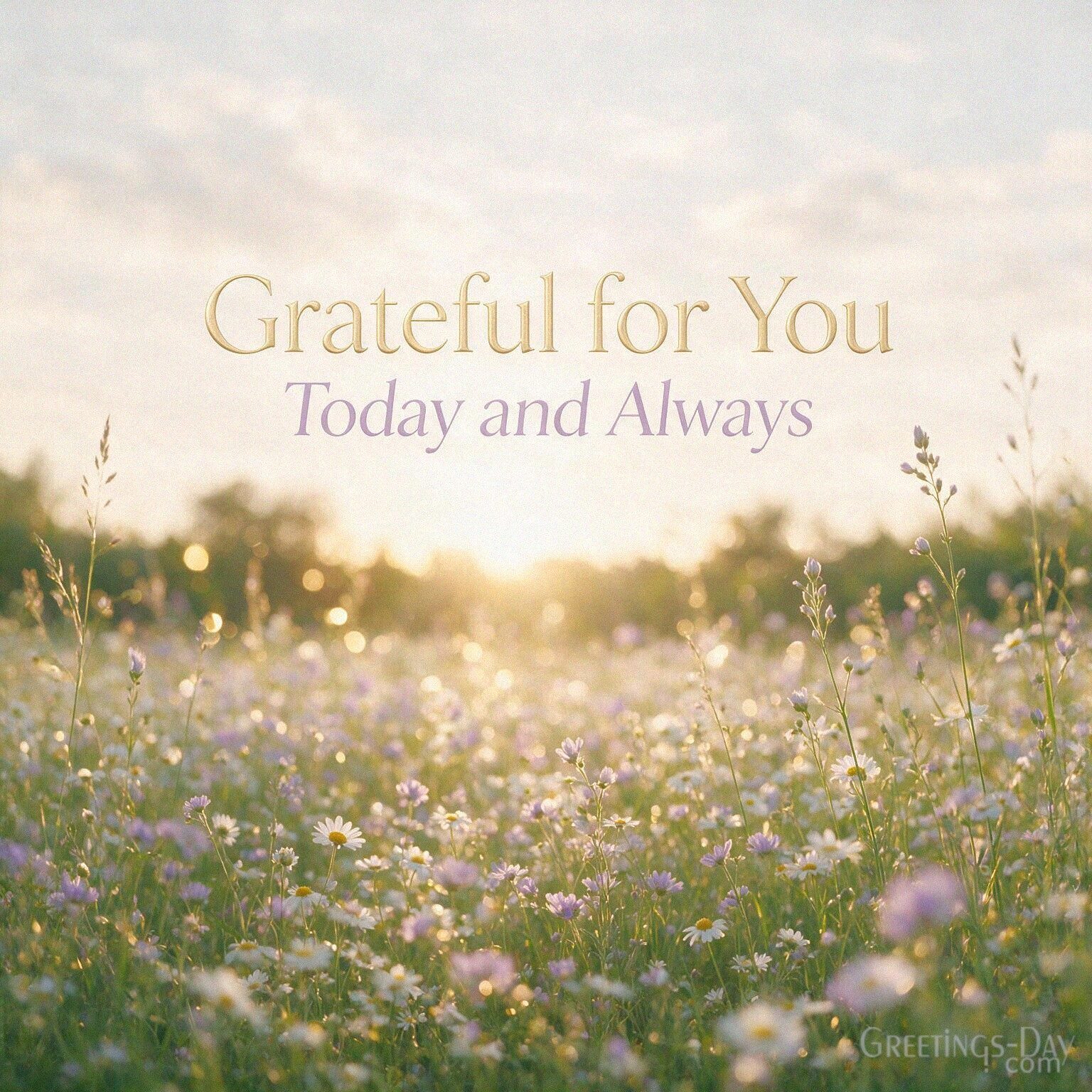 Grateful for You Today and Always