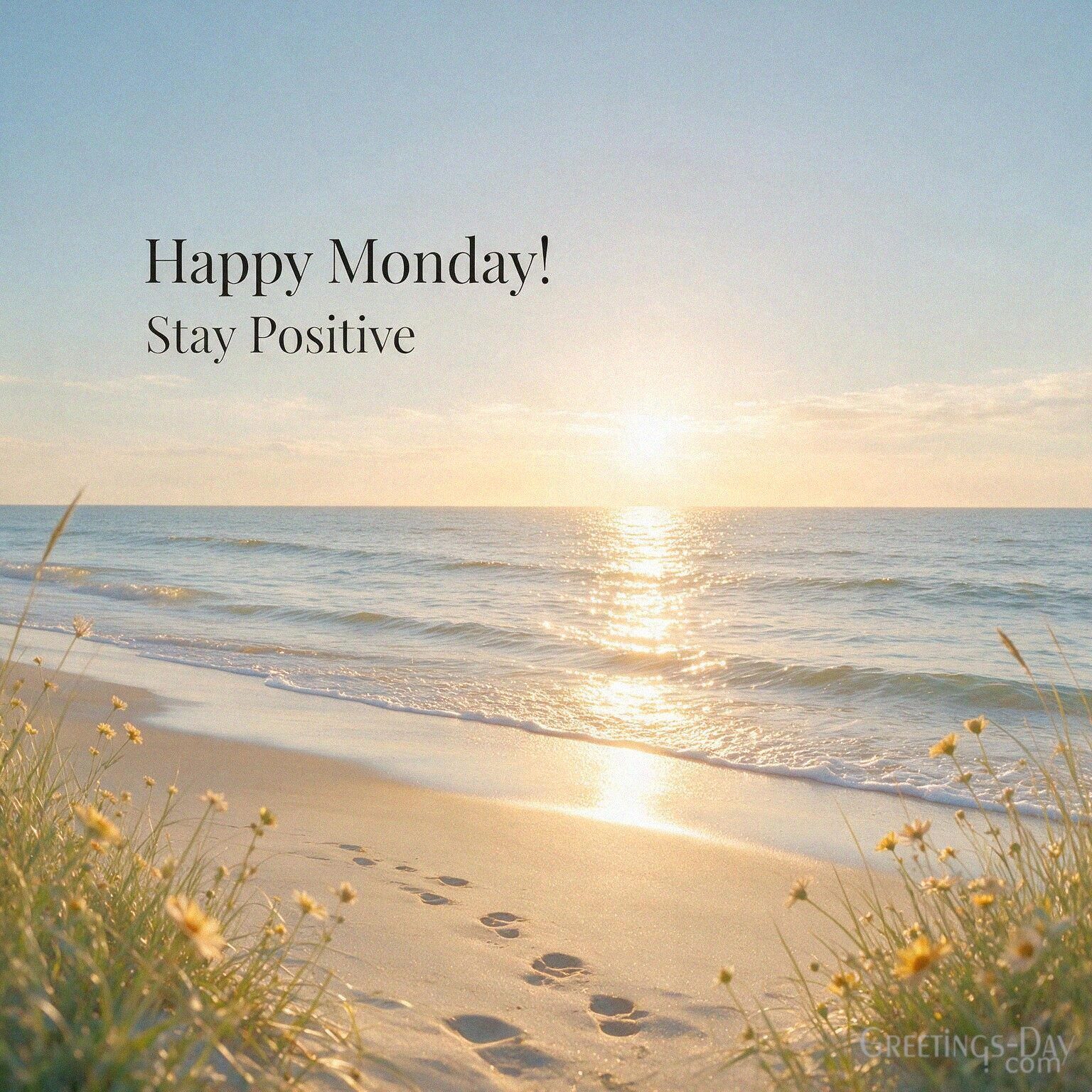 Happy Monday! Stay Positive