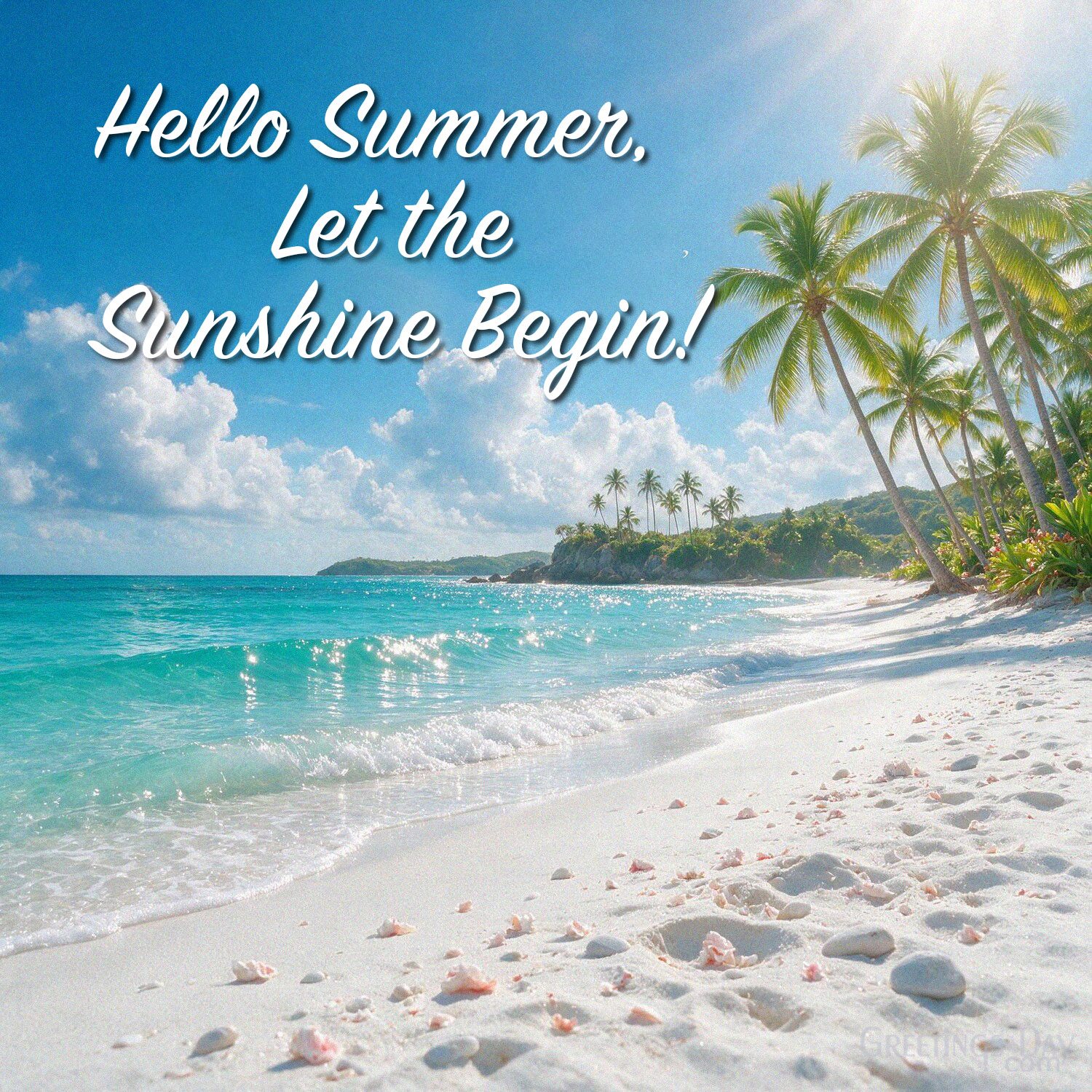 Hello Summer, Let the Sunshine Begin!