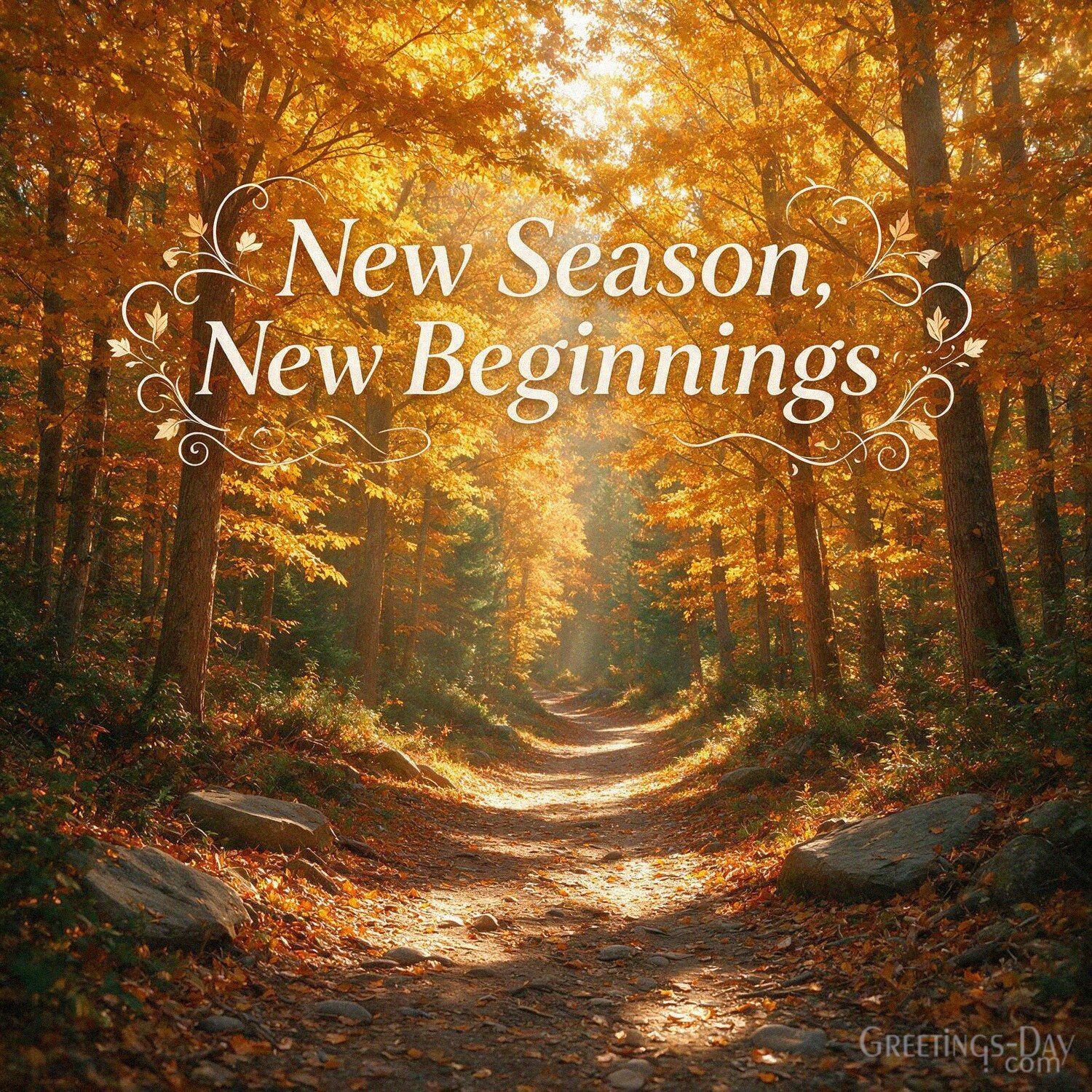 New Season, New Beginnings