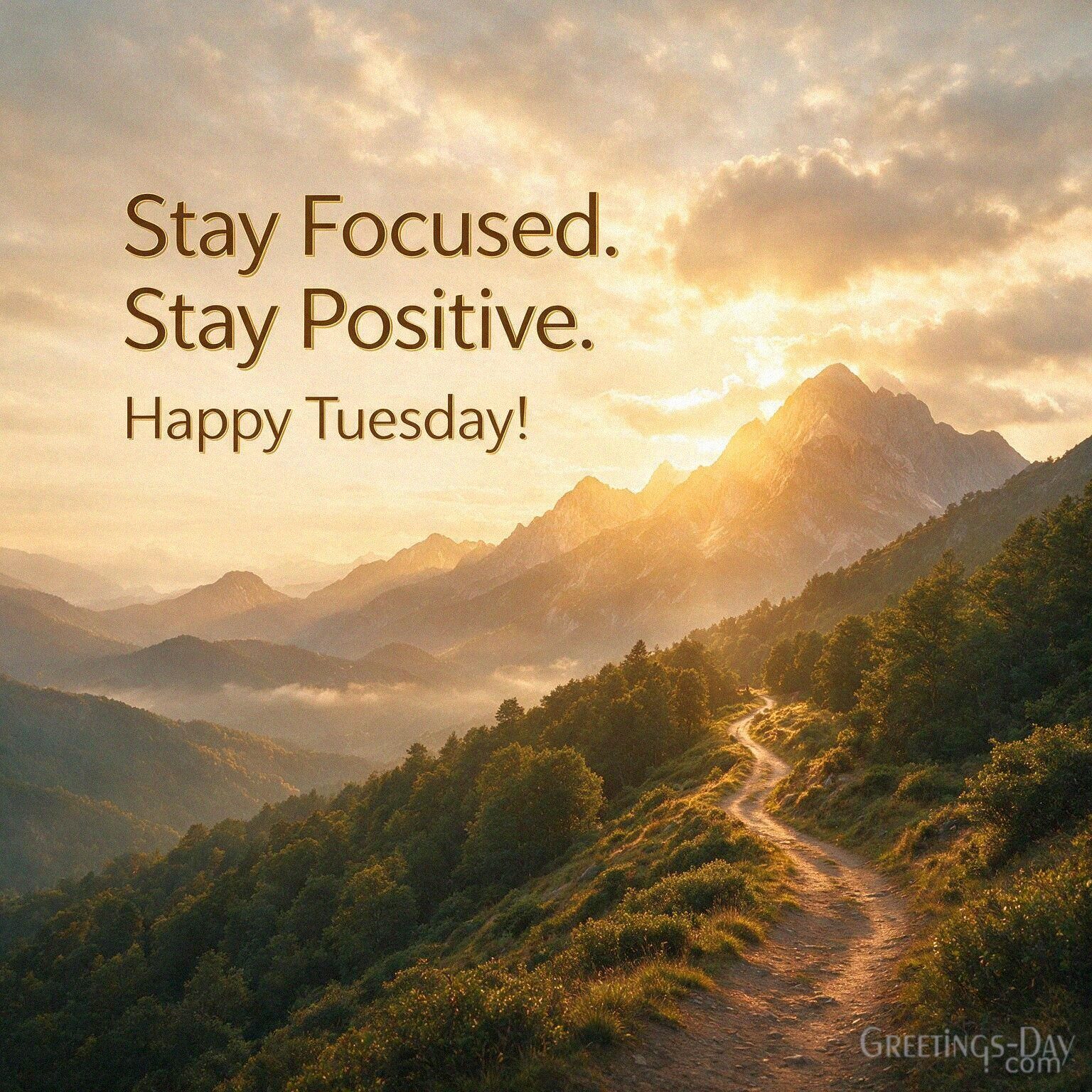 Stay Focused. Stay Positive. Happy Tuesday!