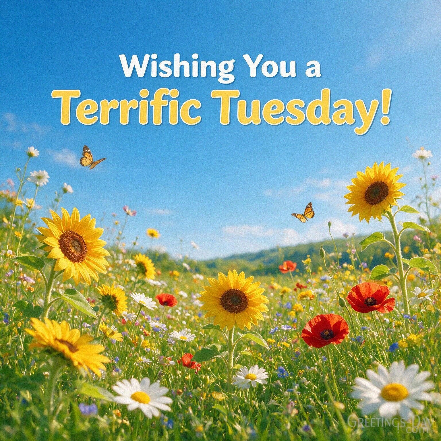 Wishing You a Terrific Tuesday!