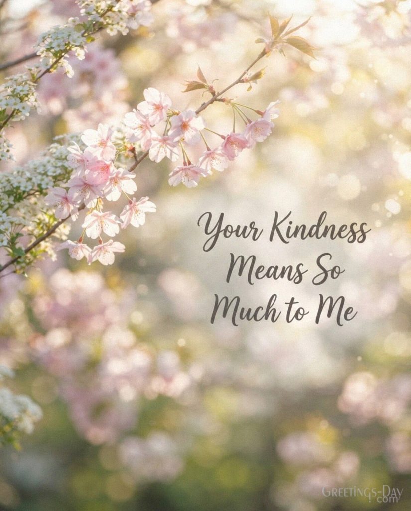 Heartfelt Thank You image with soft cherry blossoms saying “Your Kindness Means So Much to Me.” with the text 
