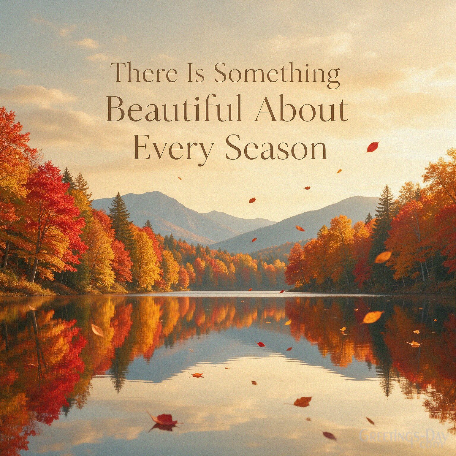 There Is Something Beautiful About Every Season