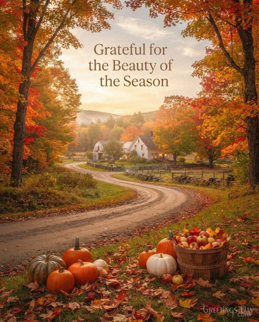 Beautiful fall Thanksgiving image with golden countryside scenery and the message “Grateful for the Beauty of the Season” with the text 