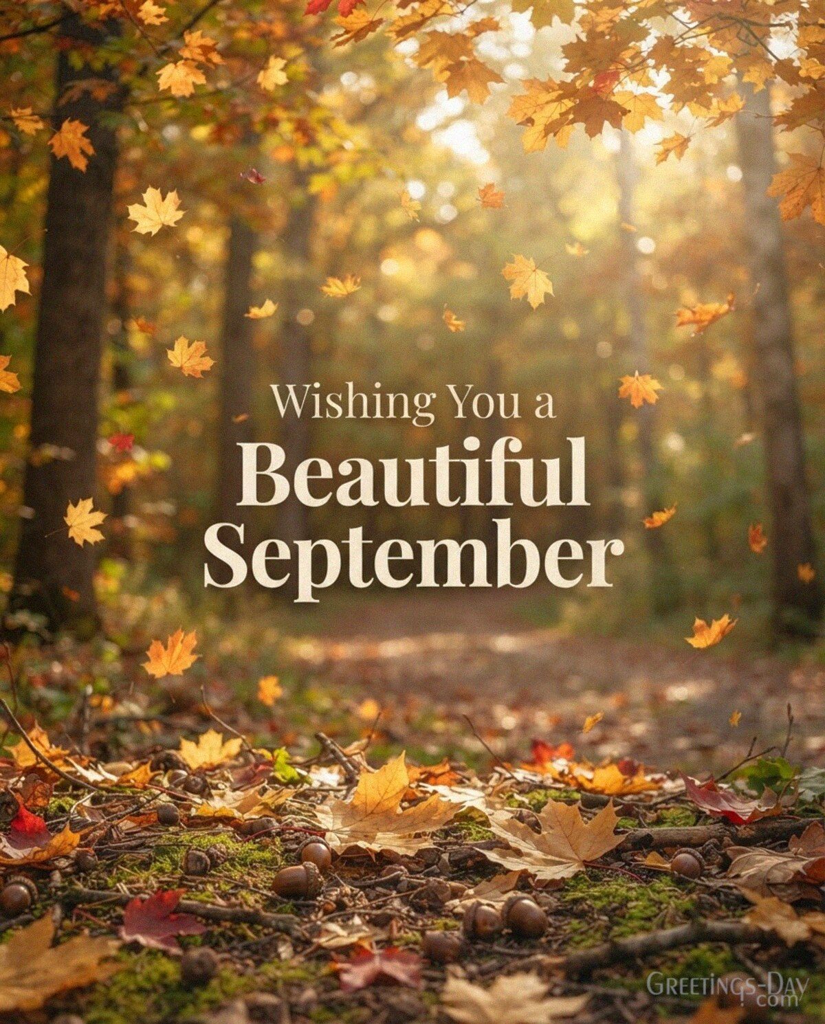 Wishing You a Beautiful September
