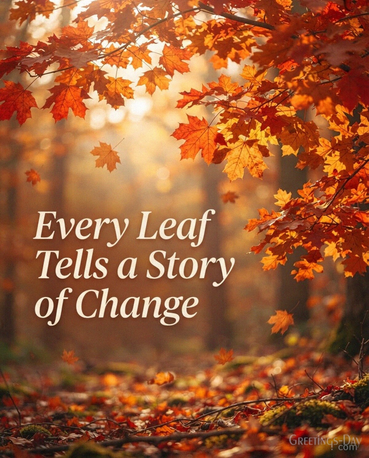 Autumn leaves quote with colorful maple foliage featuring “Every Leaf Tells a Story of Change” with the text "Every Leaf Tells a Story of Change"