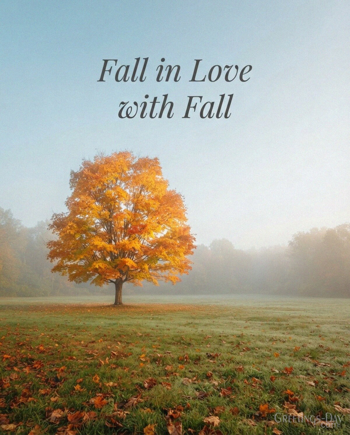 Short autumn quote with colorful fall tree featuring “Fall in Love with Fall” with the text "Fall in Love with Fall"