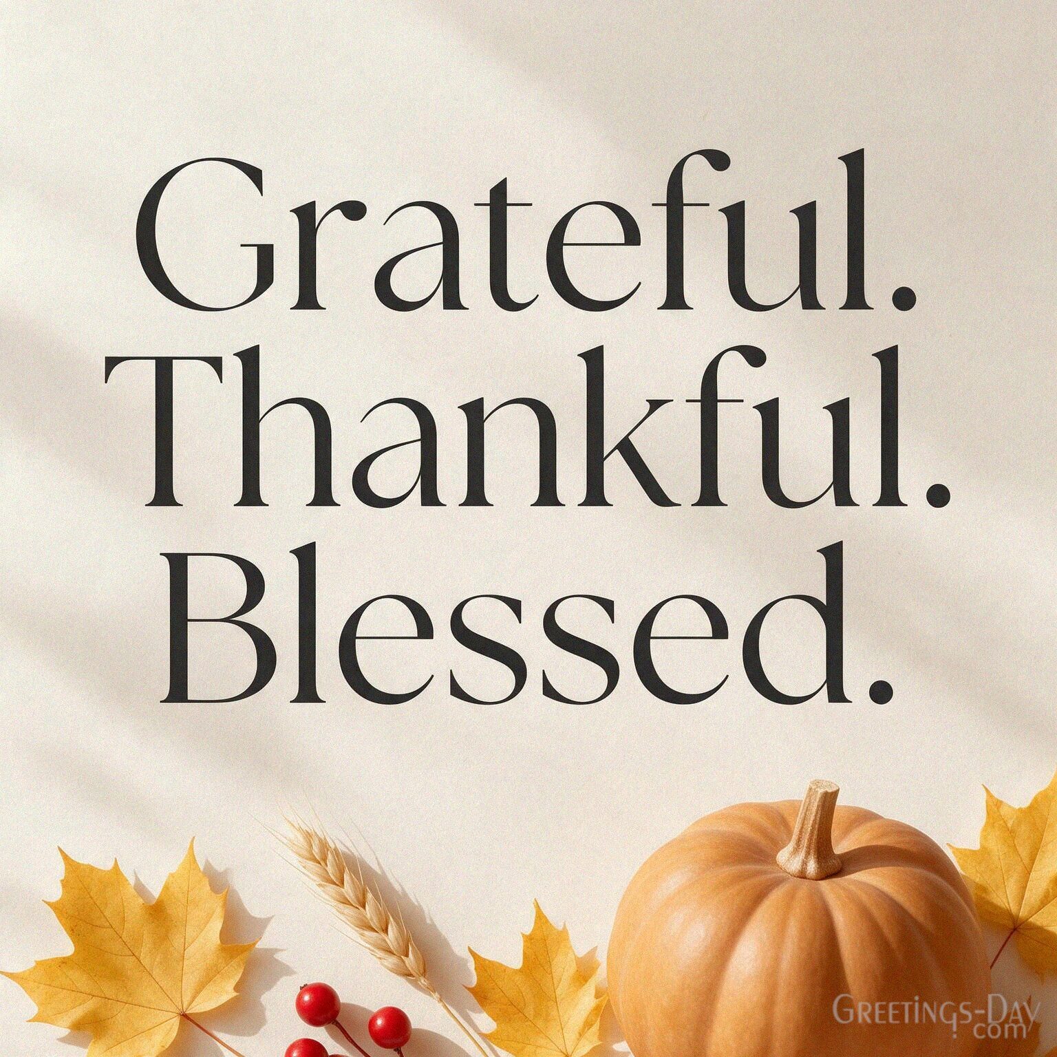 Grateful, Thankful and Blessed