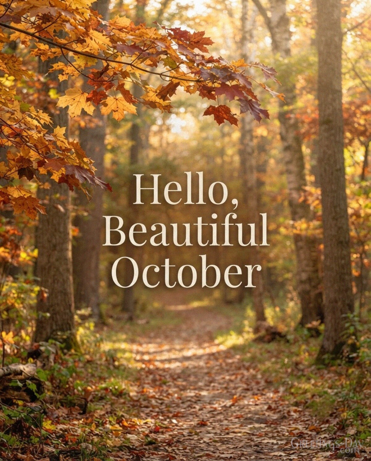 Hello