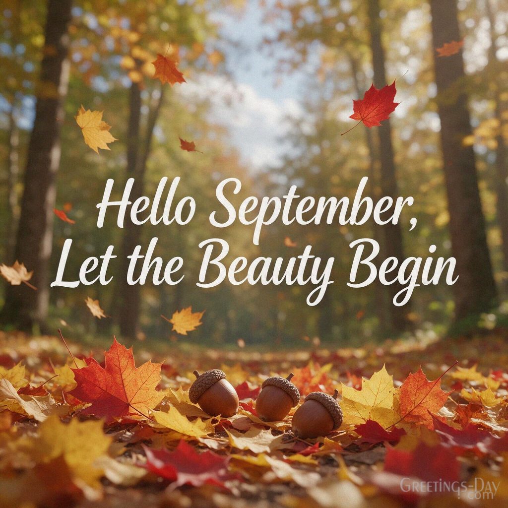 Hello September image with golden maple leaves and warm sunlight featuring “Hello September