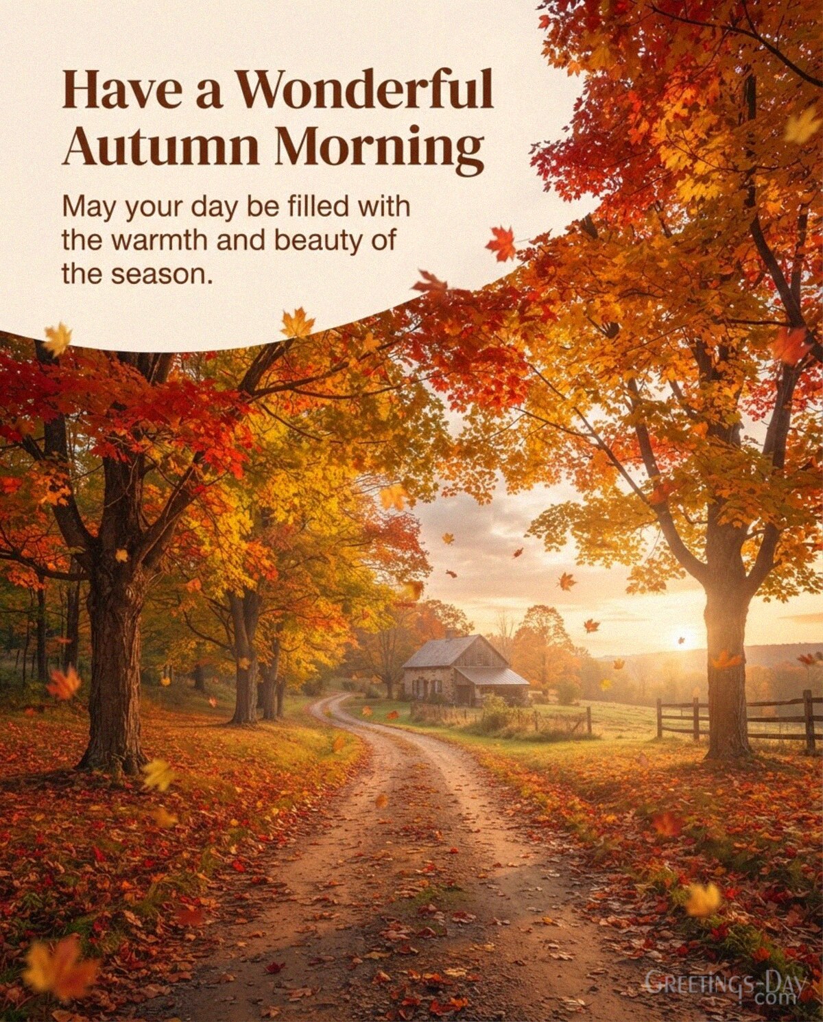 Wonderful autumn morning image with brilliant red