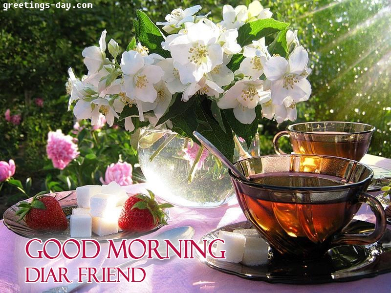 friend good morning