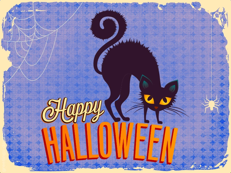 Halloween Cat