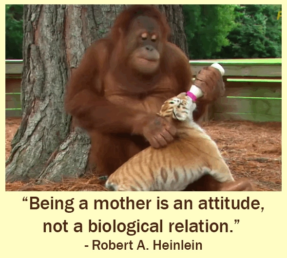Quotes about Mother