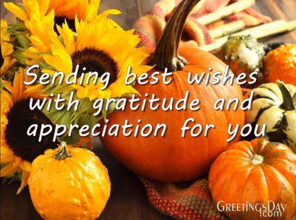 Happy Thanksgiving Video Congratulations