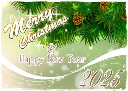 Merry Christmas And Happy New Year 2025!